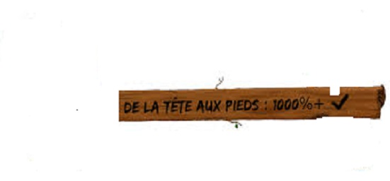 de-la-tete-au-pied