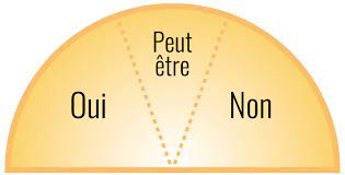 oui-non